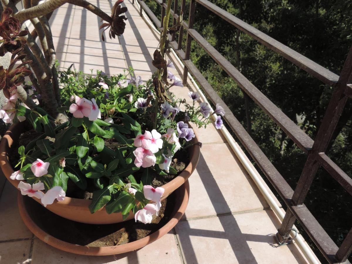 B&B Sa Manta Sassari Buitenkant foto